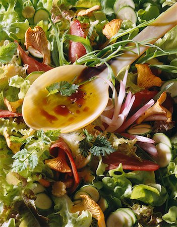 simsearch:825-02306474,k - Duck magret and chanterelle salad with spoon of french dressing Stock Photo - Premium Royalty-Free, Code: 652-01666999