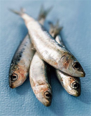 sardina - sardines Foto de stock - Sin royalties Premium, Código: 652-01670020