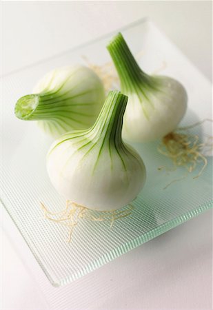 white onions Stock Photo - Premium Royalty-Free, Code: 652-01670324