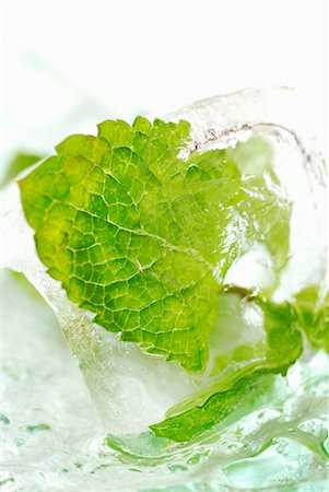 frozen vegetables - Feuilles de menthe fraîche dans ice cube Photographie de stock - Premium Libres de Droits, Code: 652-02222084