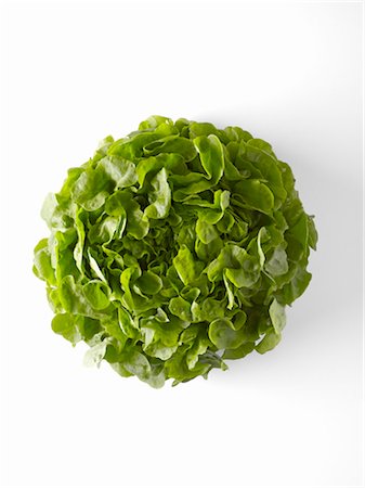 Krisette lettuce Stock Photo - Premium Royalty-Free, Code: 652-03635678