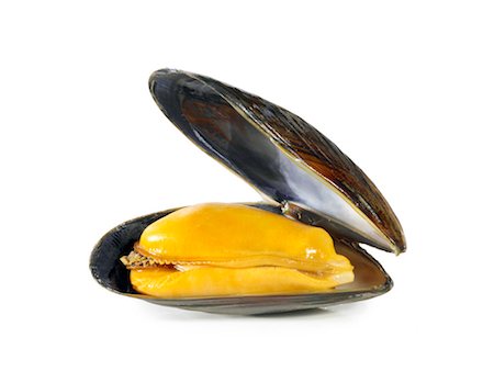 shell cut out - Open mussel Stock Photo - Premium Royalty-Free, Code: 652-03635827