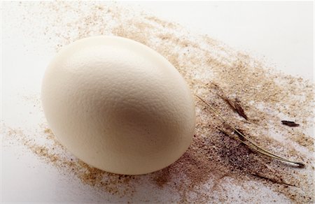 Ostrich egg Fotografie stock - Premium Royalty-Free, Codice: 652-03633110