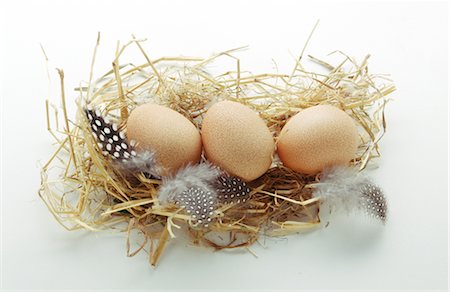 Guinea-fowl eggs Stock Photo - Premium Royalty-Free, Code: 652-03633178