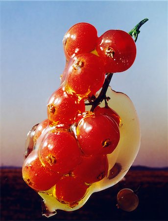 simsearch:652-03634796,k - caramelized redcurrants Foto de stock - Sin royalties Premium, Código: 652-03800088