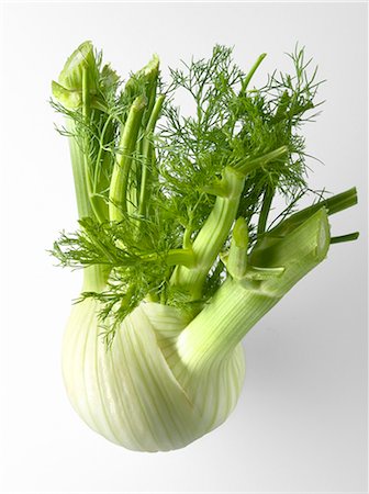 fenouil - Fenouil Photographie de stock - Premium Libres de Droits, Code: 652-03801406