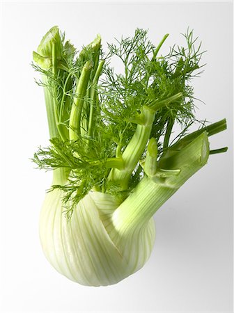 simsearch:652-03801674,k - Fennel Stock Photo - Premium Royalty-Free, Code: 652-03801406