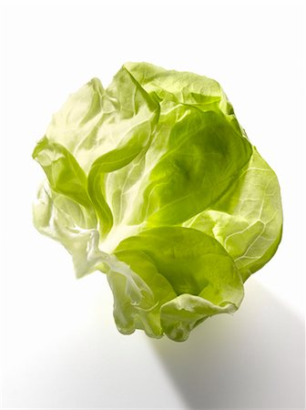 Lettuce leaf Stock Photo - Premium Royalty-Free, Code: 652-03801670