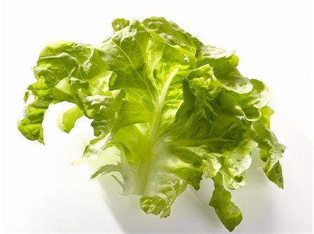 simsearch:652-03801667,k - Krisette lettuce leaf Foto de stock - Sin royalties Premium, Código: 652-03801671