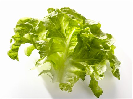 simsearch:652-03801674,k - Krisette lettuce leaf Stock Photo - Premium Royalty-Free, Code: 652-03801671