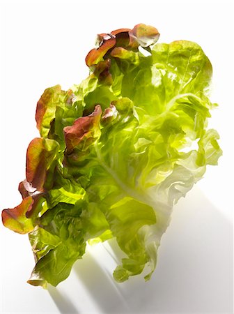 Rougette lettuce leaf Stock Photo - Premium Royalty-Free, Code: 652-03801673