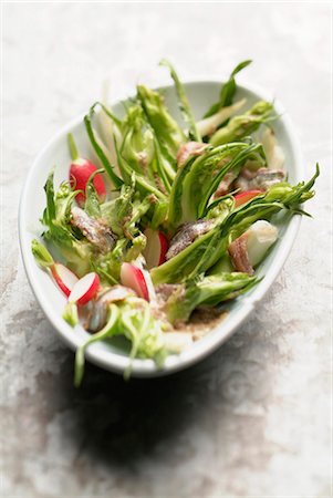 pink radish - Puntarella and anchovy salad Foto de stock - Sin royalties Premium, Código: 652-03802156