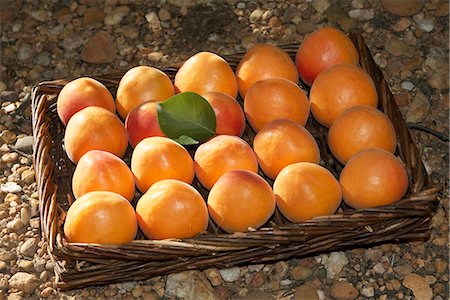 simsearch:652-03801421,k - Basket of apricots Stock Photo - Premium Royalty-Free, Code: 652-03802336