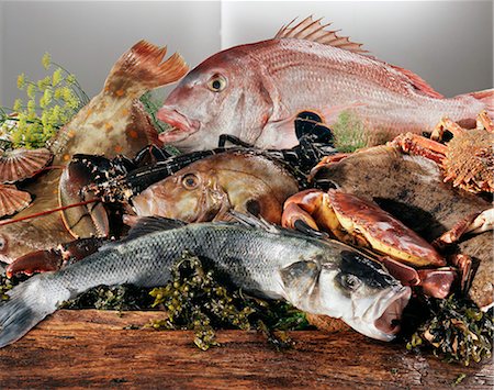 shell fish - Assorted seafood Stock Photo - Premium Royalty-Free, Code: 652-03802360
