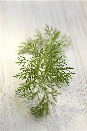 dill - Dill Stock Photo - Premium Royalty-Free, Code: 652-03802495