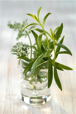 Fines herbes fraîches Photographie de stock - Premium Libres de Droits, Code: 652-03802502