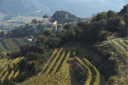 Vines in the Côtes-du-Rhône Stock Photo - Premium Royalty-Free, Code: 652-03802845