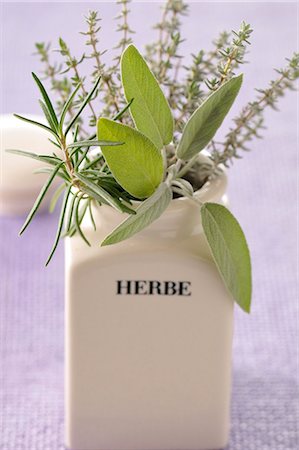 Pot of fresh herbs Stock Photo - Premium Royalty-Free, Code: 652-03802943