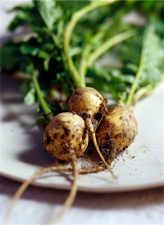 simsearch:652-03801665,k - Bunch of turnips Fotografie stock - Premium Royalty-Free, Codice: 652-03803099