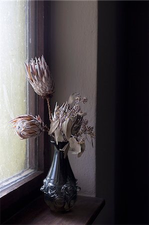 Dead Flowers In Vase Stock Photos Page 1 Masterfile