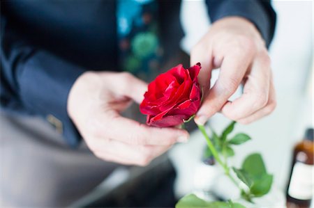 Single Red Rose Flower For Hand Stock Photos Page 1 Masterfile