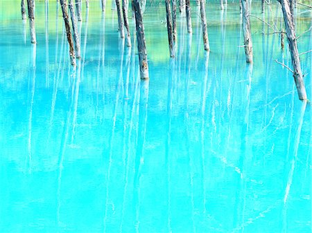 refracción - Blue pond Foto de stock - Sin royalties Premium, Código: 669-08914746
