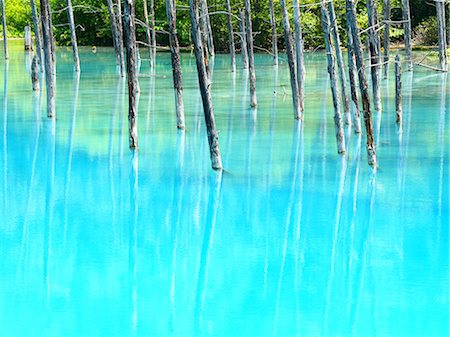 Blue pond Stock Photo - Premium Royalty-Free, Code: 669-08914747