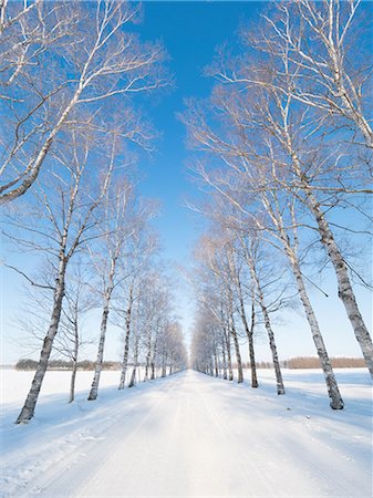 schweigen - Soft rime and road Stockbilder - Premium RF Lizenzfrei, Bildnummer: 669-08943990