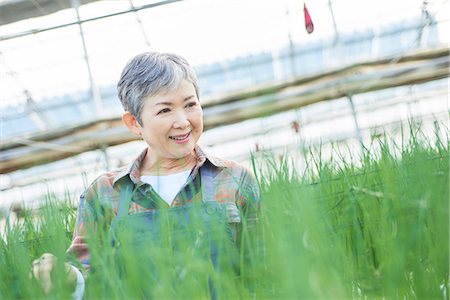 farmer (female) - Senior woman checking vegetables quality in greenhouse Stock Photo - Premium Royalty-Free, Code: 669-09145946