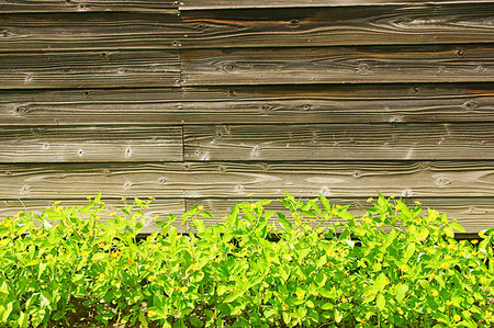 disappearing - Wooden School Building Stock Photo - Premium Royalty-Free, Code: 669-09203984