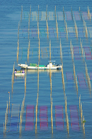 stimulation - Sow Seeding of Seaweed Farming Stock Photo - Premium Royalty-Free, Code: 669-09227604