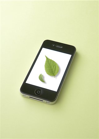 preserver - Smartphone and leaves Stock Photo - Premium Royalty-Free, Code: 670-04249538