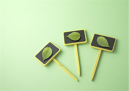 Plates and leaves Stock Photo - Premium Royalty-Free, Code: 670-04249549