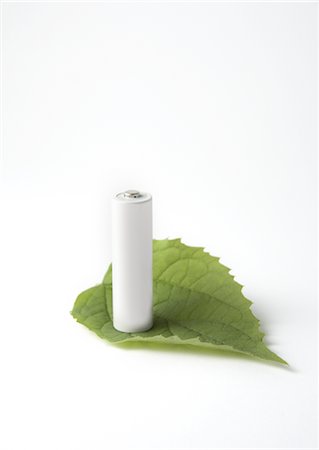 preserver - Leaf and battery Stock Photo - Premium Royalty-Free, Code: 670-04249555