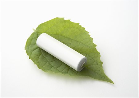 preserver - Leaf and battery Stock Photo - Premium Royalty-Free, Code: 670-04249556