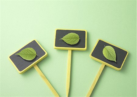 Plaques et feuilles Photographie de stock - Premium Libres de Droits, Code: 670-04249550