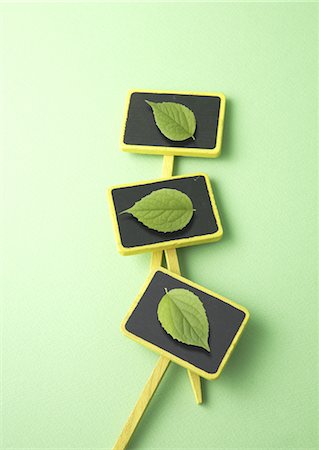 ecology - Plates and leaves Stock Photo - Premium Royalty-Free, Code: 670-04249551