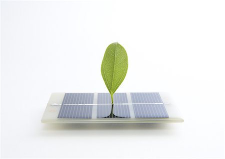 erneuerbare energie - Sonnenkollektoren und Blatt Stockbilder - Premium RF Lizenzfrei, Bildnummer: 670-04249577