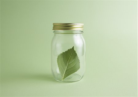 preserver - Leaf in bottle Stock Photo - Premium Royalty-Free, Code: 670-04249579