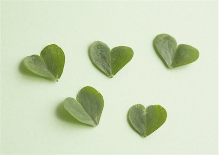 Feuilles cordiformes Photographie de stock - Premium Libres de Droits, Code: 670-04249609