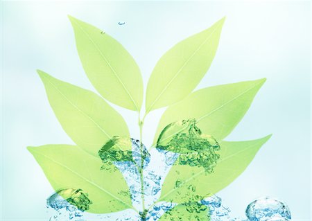 simsearch:670-04249663,k - Feuilles et bulles Photographie de stock - Premium Libres de Droits, Code: 670-04249662