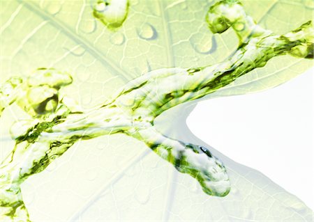 ecology - Leaf and water Stock Photo - Premium Royalty-Free, Code: 670-04249671