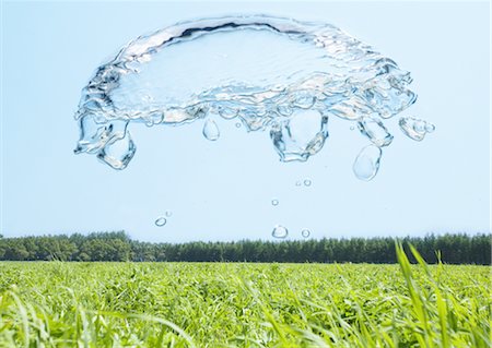Grassland and bubbles Stock Photo - Premium Royalty-Free, Code: 670-04249687