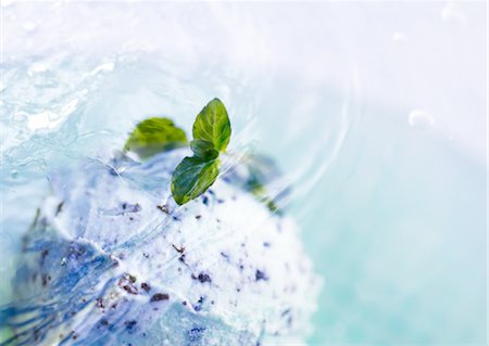 Glace au chocolat menthe et ondulations Photographie de stock - Premium Libres de Droits, Code: 670-04249725