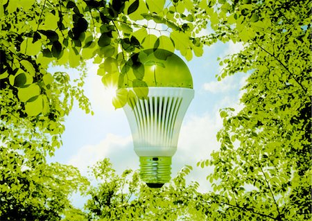 simsearch:670-04249663,k - Ampoule LED et vert frais Photographie de stock - Premium Libres de Droits, Code: 670-04249742