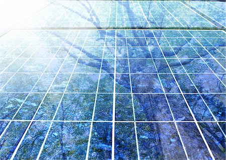 preserver - Trees reflected in solar panels Stock Photo - Premium Royalty-Free, Code: 670-05854781