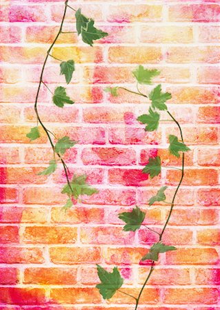 Bricks with ivy Stock Photo - Premium Royalty-Free, Code: 670-05854792