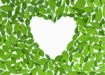 ecology - Heart surrounded with leaves (Ecology image) Stock Photo - Premium Royalty-Free, Code: 670-06024330