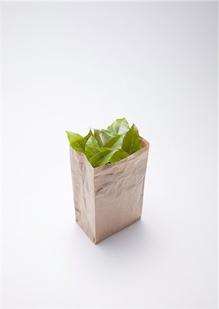 preserver - Leaves in paper bag Stock Photo - Premium Royalty-Free, Code: 670-06024446