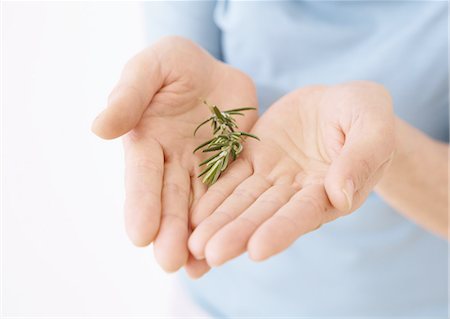 Mains tenant aux herbes Photographie de stock - Premium Libres de Droits, Code: 670-06024645